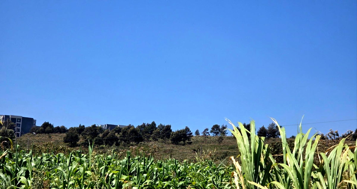 Redhill Garden Plot for KSh 25M