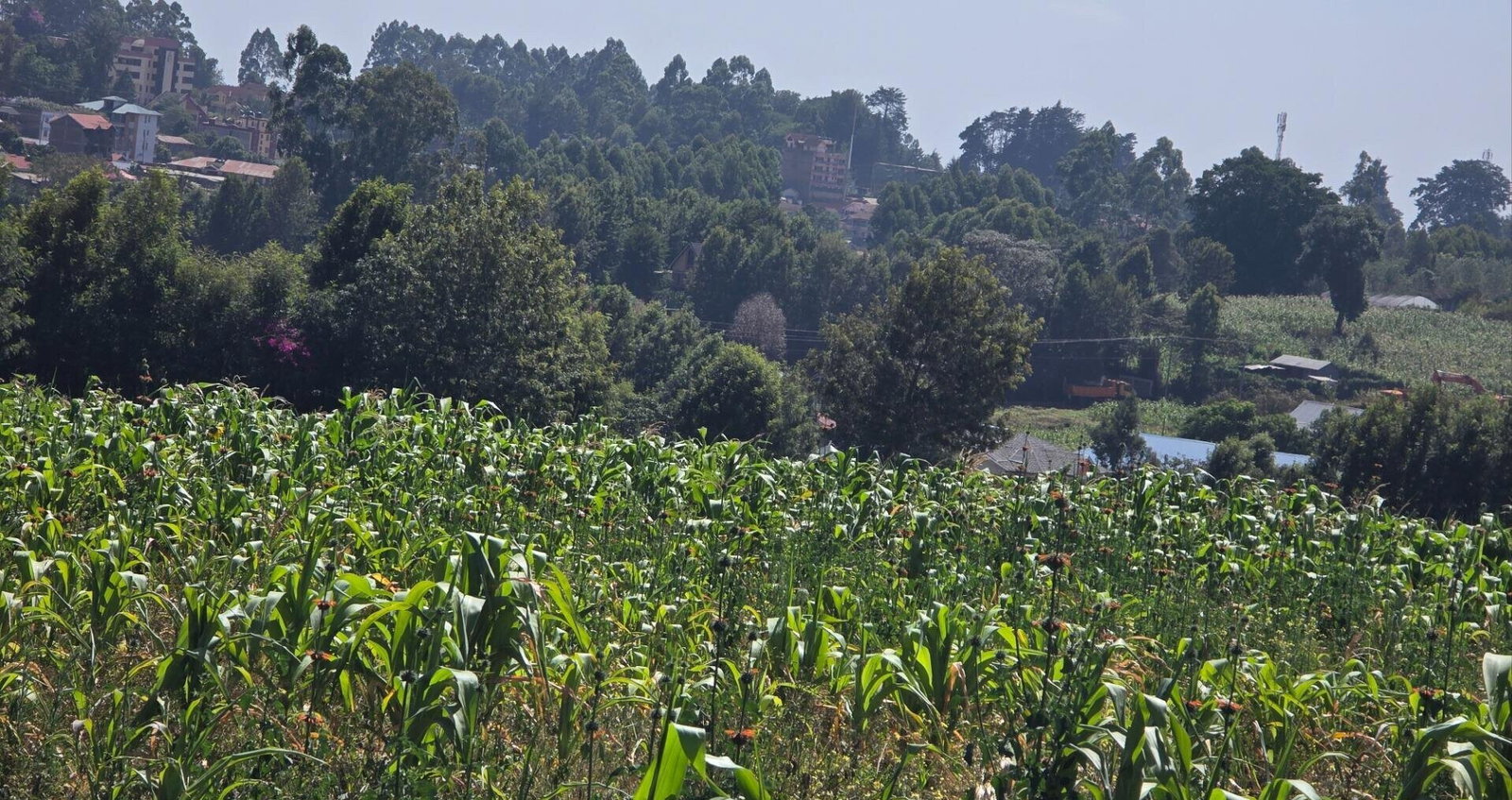 Redhill Garden Plot for KSh 25M