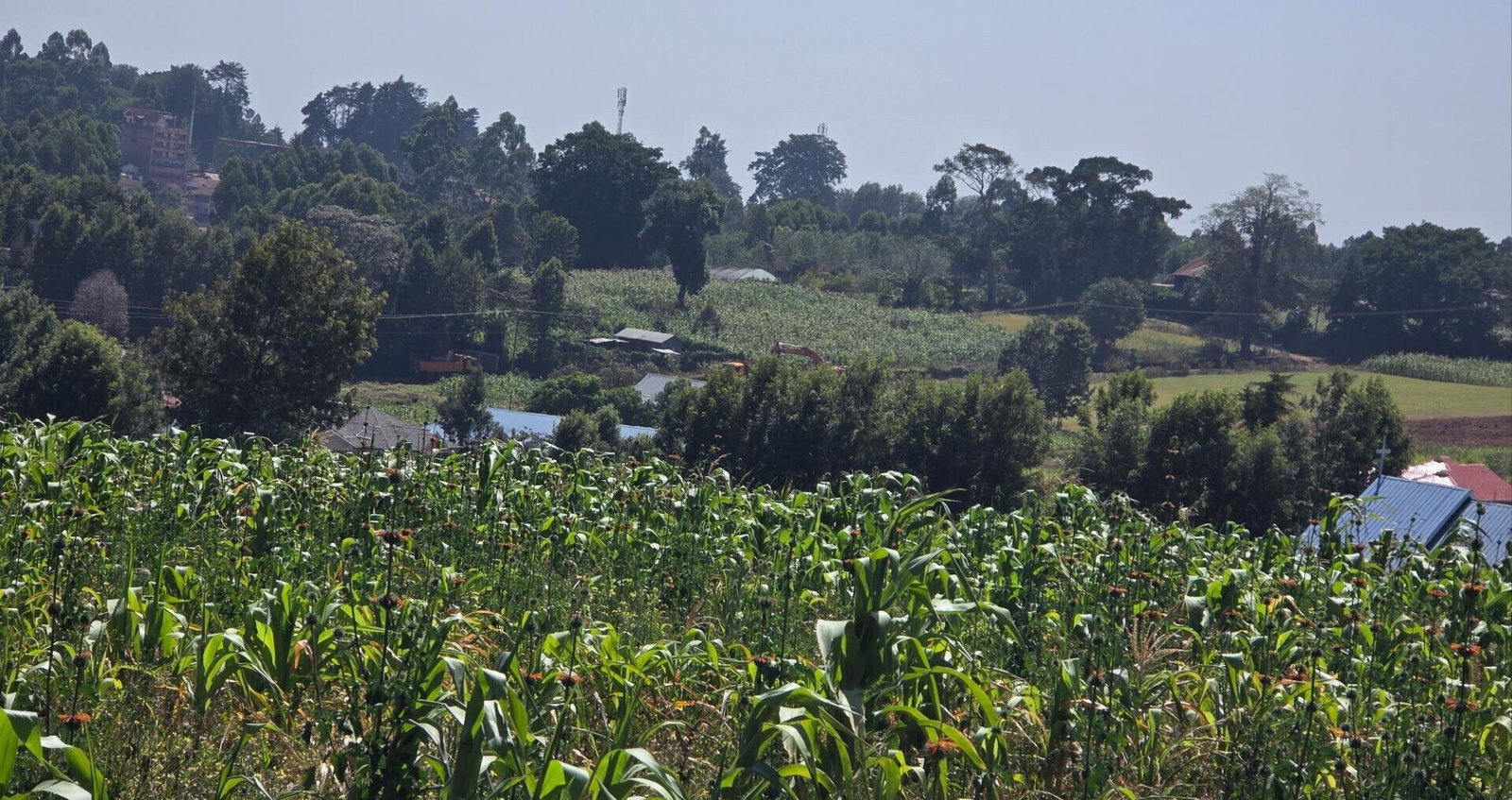 Redhill Garden Plot for KSh 25M