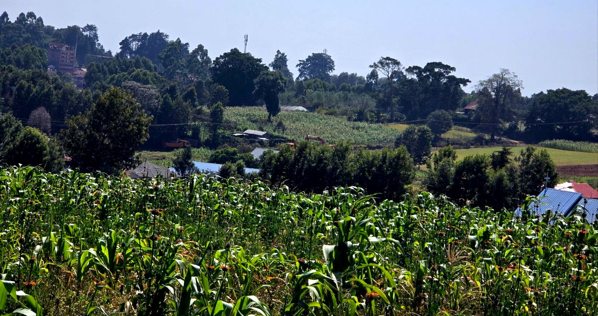 Redhill Garden Plot for KSh 25M