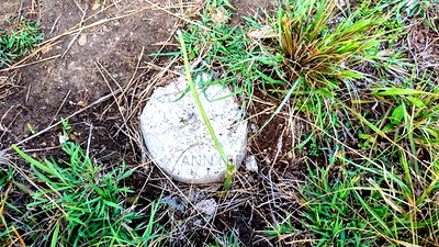 Commercial Property - Image 1