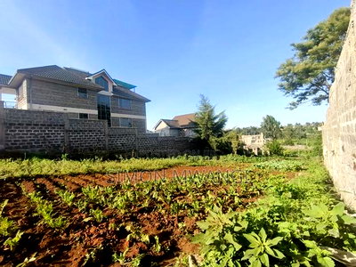 1/8 Acre Land on Sale at Ruiru Ukombozi Estate at 5.2M - Image 4