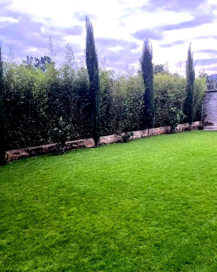 5-Bedroom All-Ensuite Masterpiece on Half an Acre – Kiambu Road