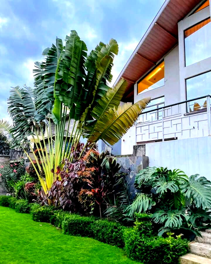 5-Bedroom All-Ensuite Masterpiece on Half an Acre – Kiambu Road
