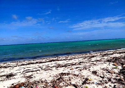 8-Acre Beach Plot with Garden