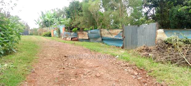 60*100 Plot for Sale in Ngong, Bondeni.