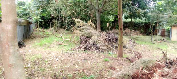 60*100 Plot for Sale in Ngong, Bondeni.