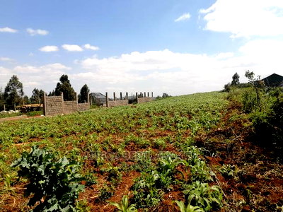 1 Acre Piece of Land for Sale in Limuru Boroti - Image 9