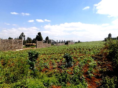 1 Acre Piece of Land for Sale in Limuru Boroti - Image 2