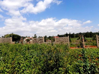 1 Acre Piece of Land for Sale in Limuru Boroti - Image 6