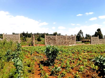 1 Acre Piece of Land for Sale in Limuru Boroti - Image 8