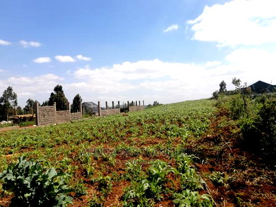 1 Acre Piece of Land for Sale in Limuru Boroti - Image 1