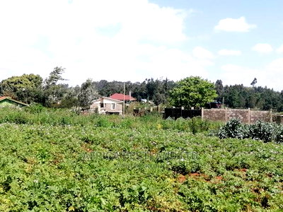 1 Acre Piece of Land for Sale in Limuru Boroti - Image 5
