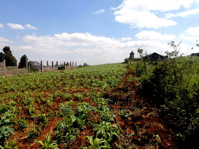 1 Acre Piece of Land for Sale in Limuru Boroti - Image 7