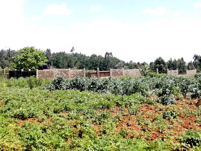 1 Acre Piece of Land for Sale in Limuru Boroti - Image 4