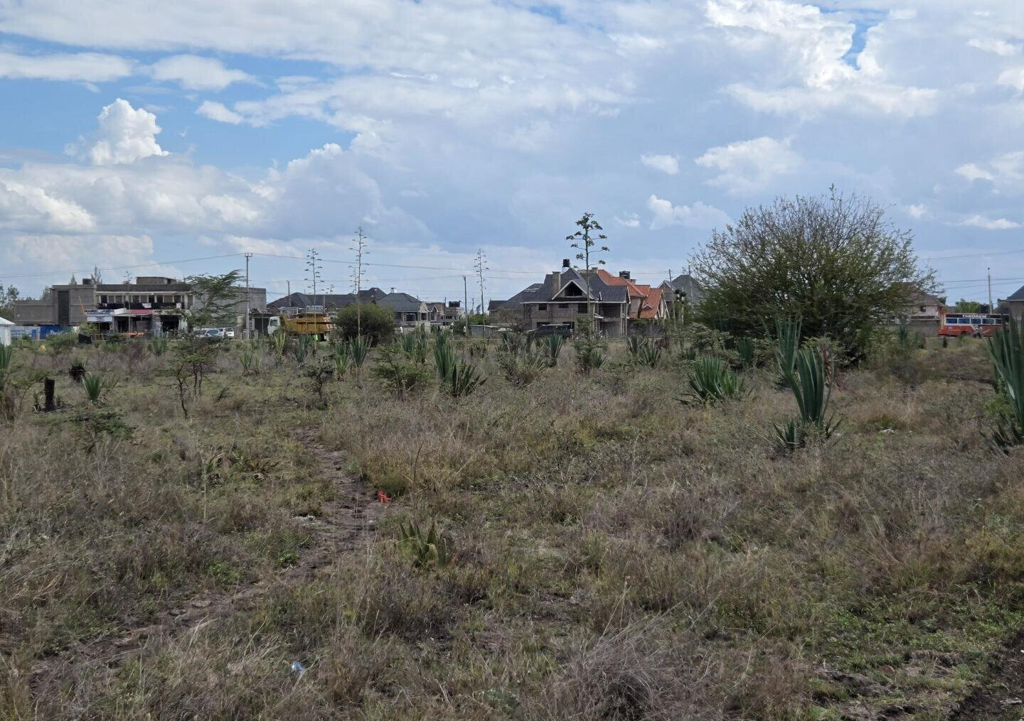 10-Acre Development Land in Syokimau