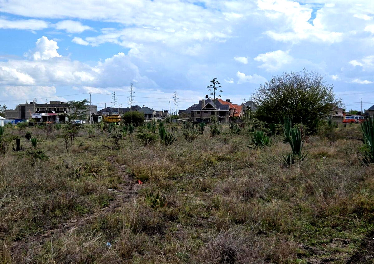10-Acre Development Land in Syokimau