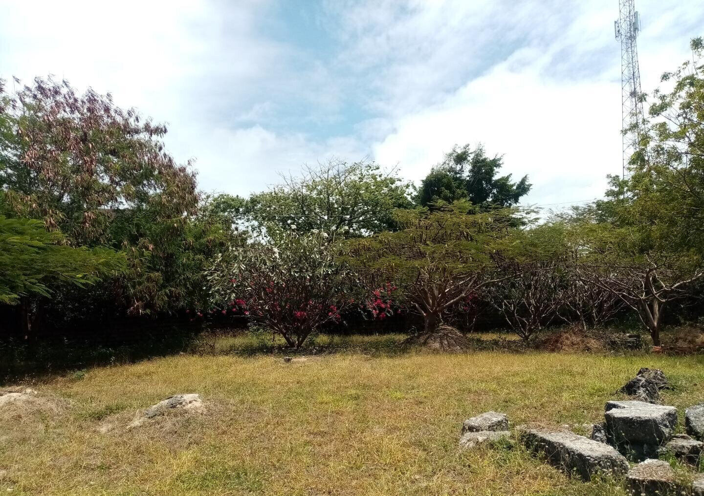 Half Acre Plot Near Marine Park