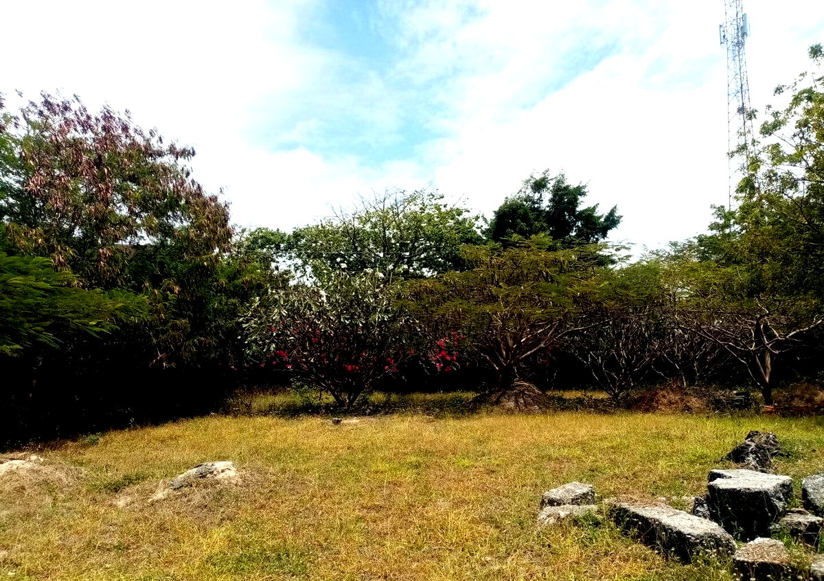 Half Acre Plot Near Marine Park