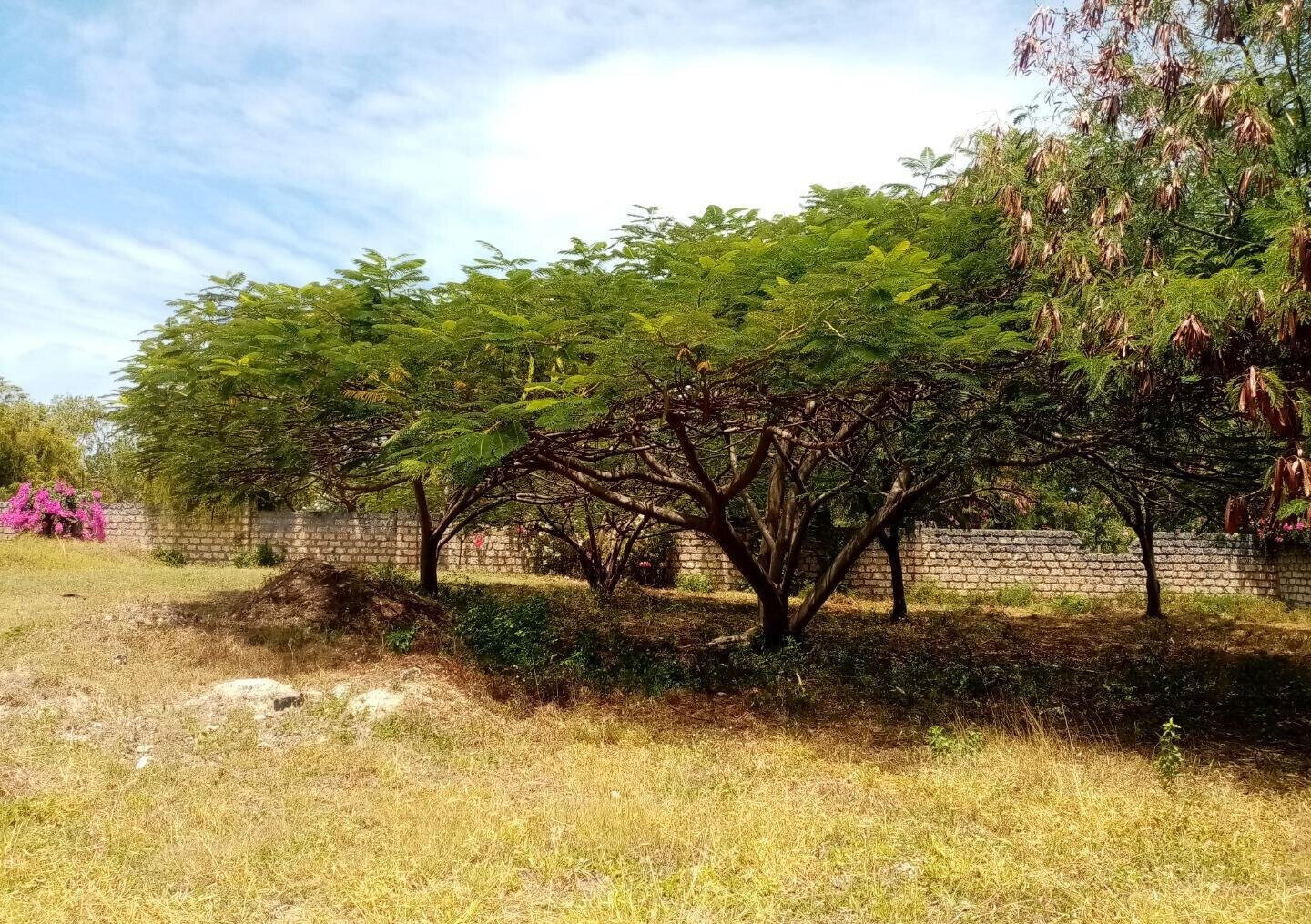 Half Acre Plot Near Marine Park