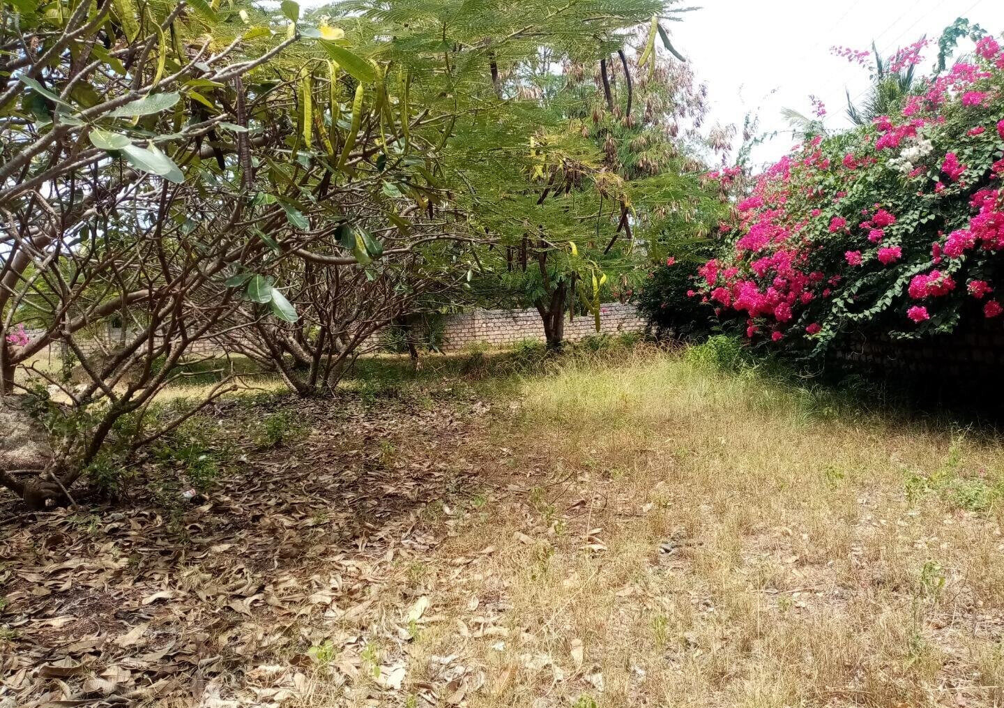 Half Acre Plot Near Marine Park