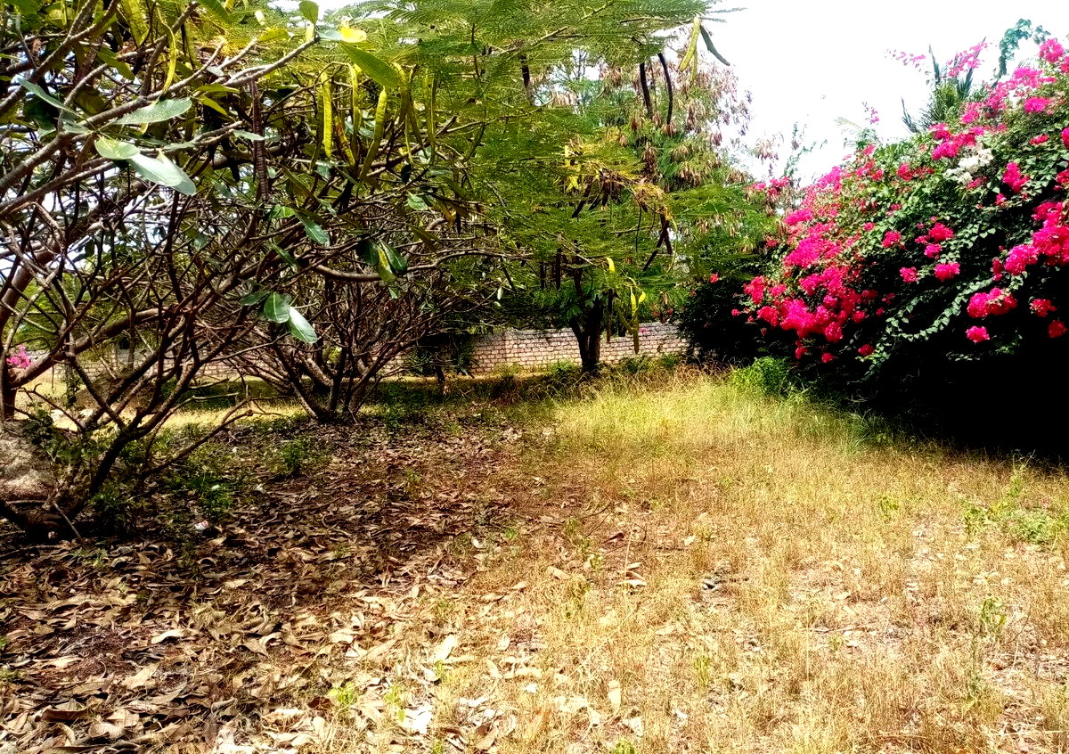 Half Acre Plot Near Marine Park
