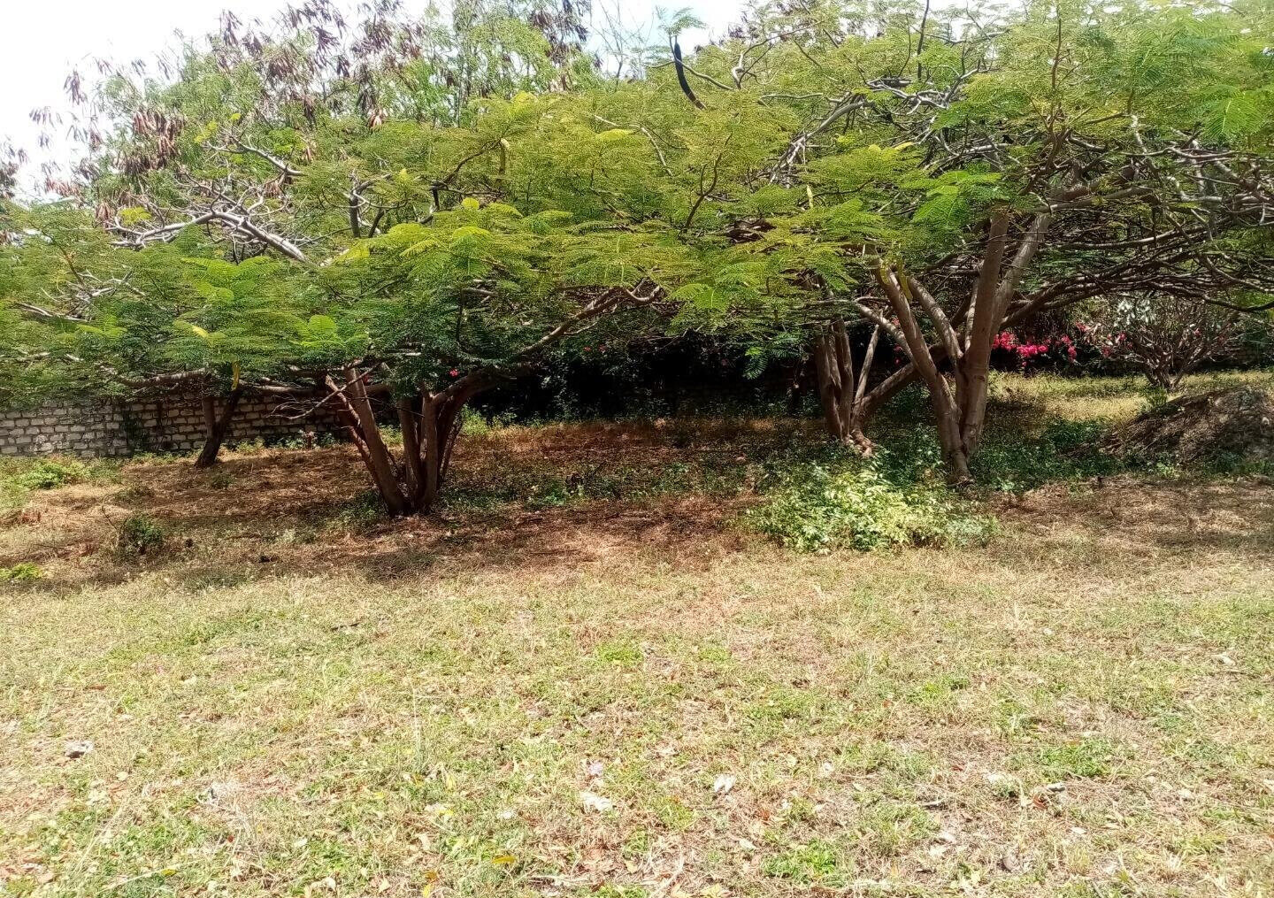 Half Acre Plot Near Marine Park
