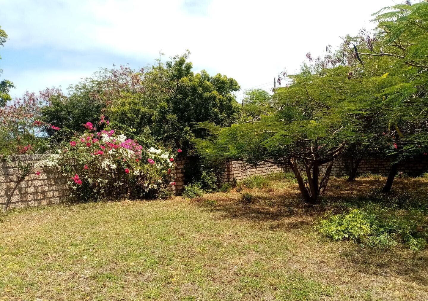 Half Acre Plot Near Marine Park