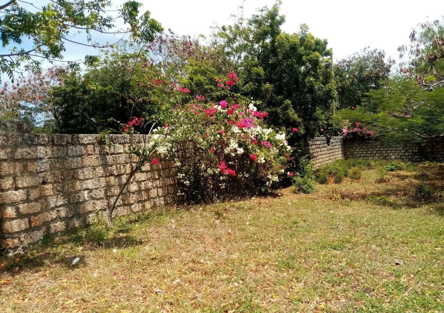 Half Acre Plot Near Marine Park