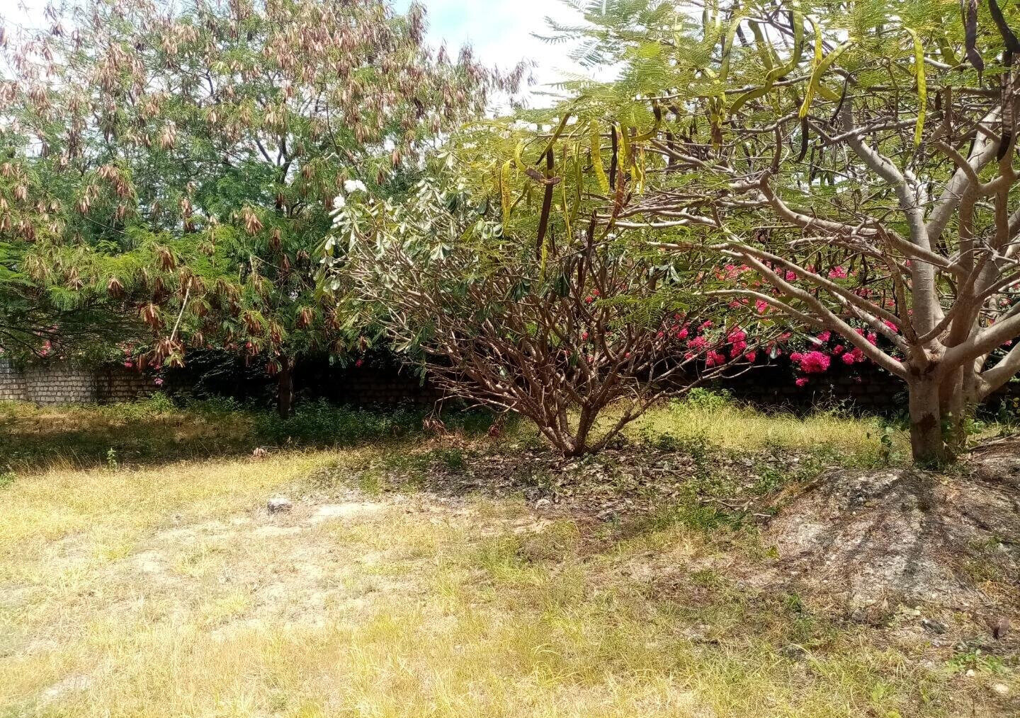 Half Acre Plot Near Marine Park