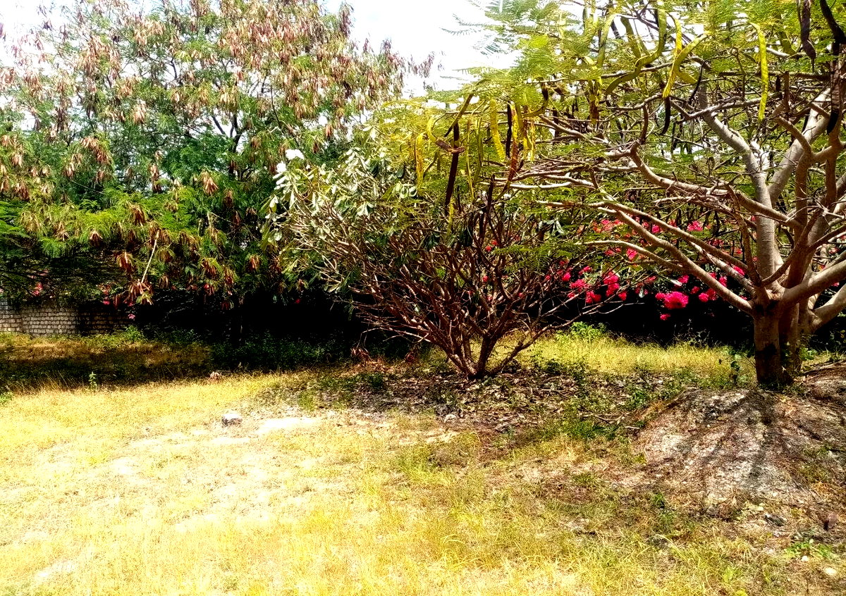 Half Acre Plot Near Marine Park