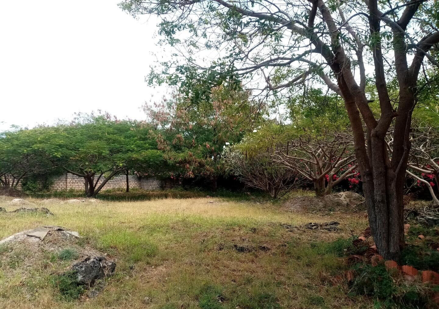 Half Acre Plot Near Marine Park