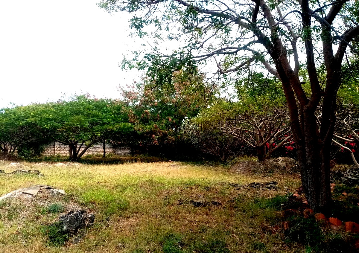 Half Acre Plot Near Marine Park