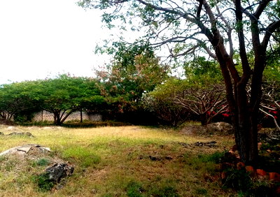 Half Acre Plot Near Marine Park
