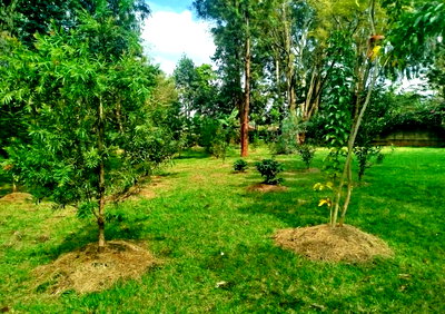 1 Acre Plot with Garden in Karen