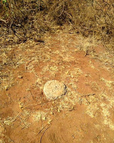 20-Acre Garden Land at KSh 650K