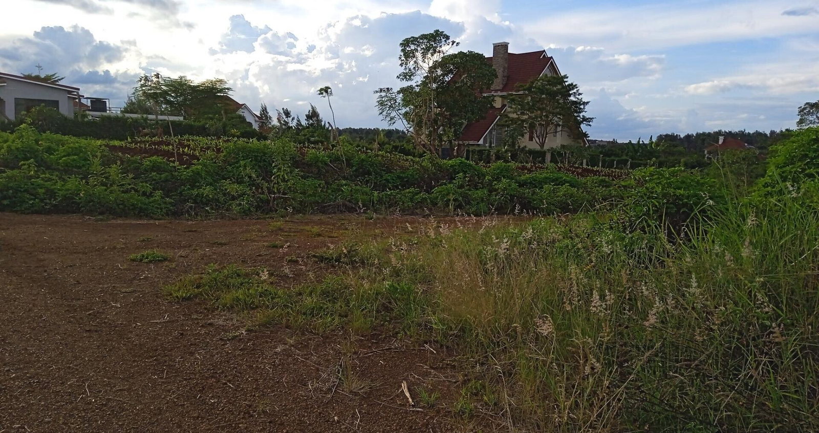 Quarter Acre Garden Plot
