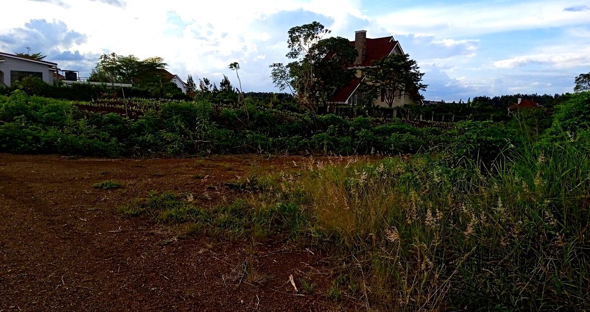 Quarter Acre Garden Plot