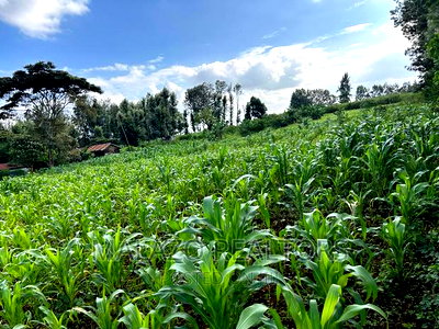 1 Acre Prime Plot in Muchata Town - Image 2