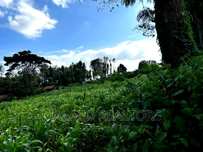 1 Acre Prime Plot in Muchata Town - Image 4