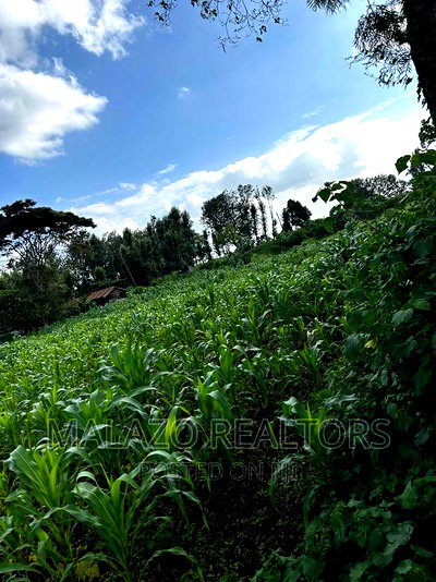 1 Acre Prime Plot in Muchata Town - Image 3