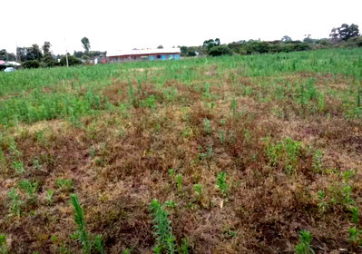 1/8 Acre Plot at KSh 2M