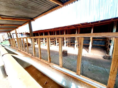 3bdrm Bungalow in Ikinu for rent - Image 10