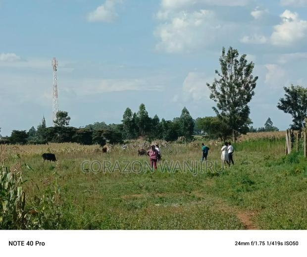 50*100plots in Sobea