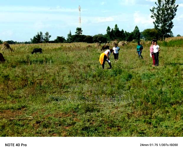 50*100plots in Sobea