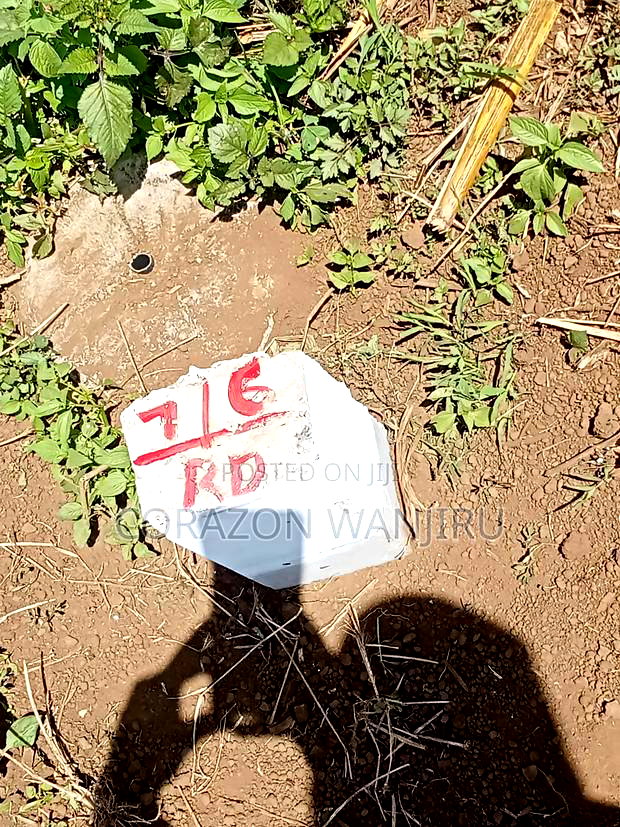 50*100plots in Sobea
