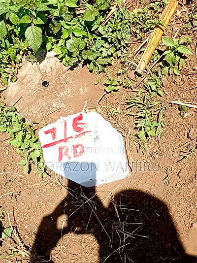 50*100plots in Sobea - Image 1