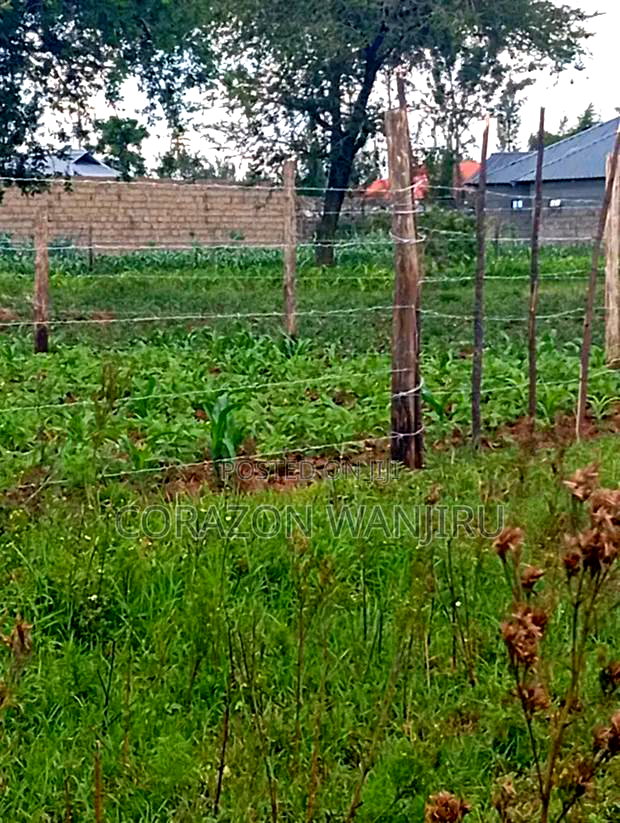 50*100plots in Sobea