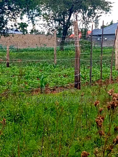 50*100plots in Sobea - Image 2