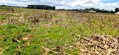 Affordable 2 Acres Land For Sale In Kapseret Eldoret - Image 3